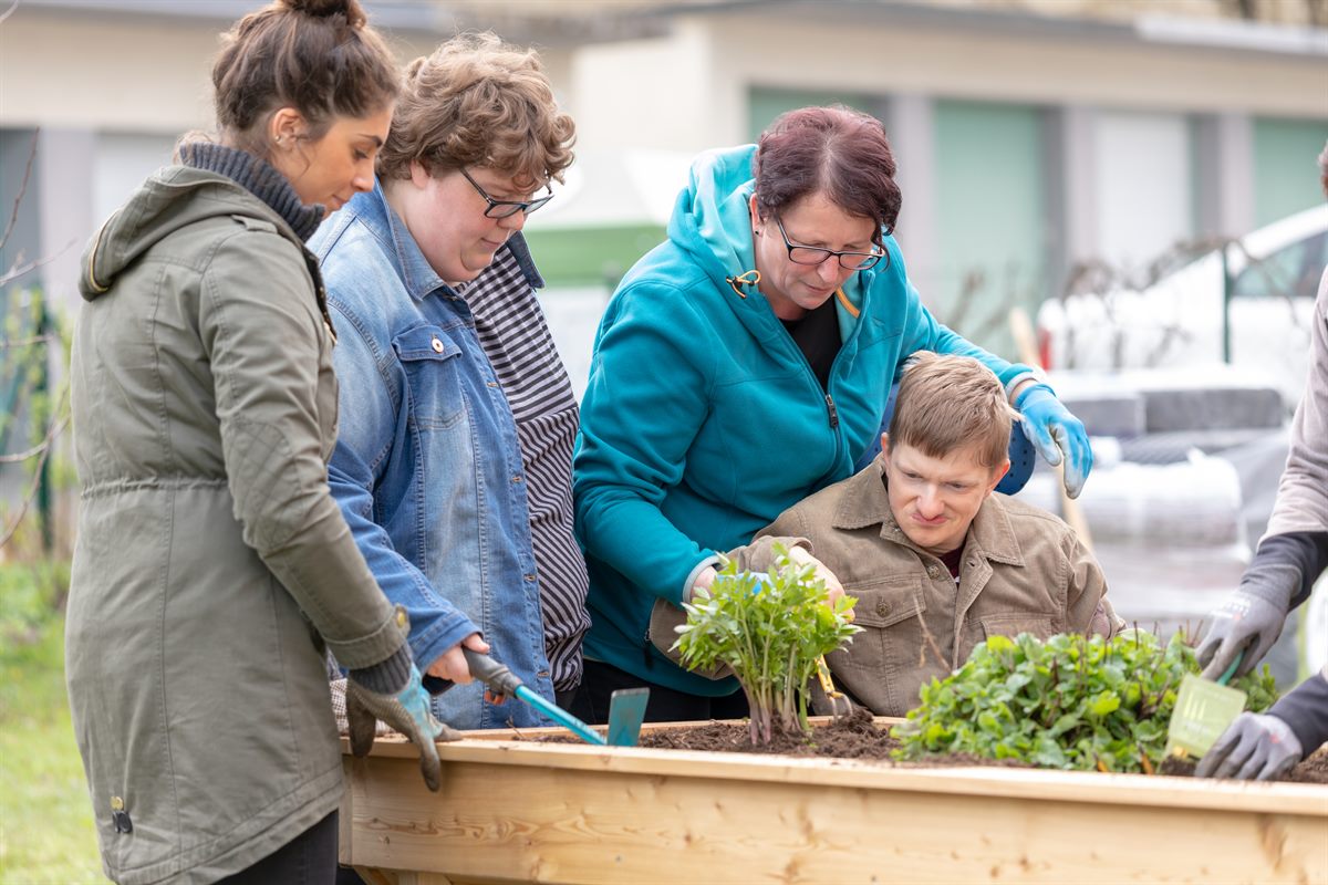 dm Mitarbeiter unterstützen die Mitarbeiter der Tagesstätte „Die Vier Jahreszeiten“ bei der Gartenarbeit mit den Klienten 