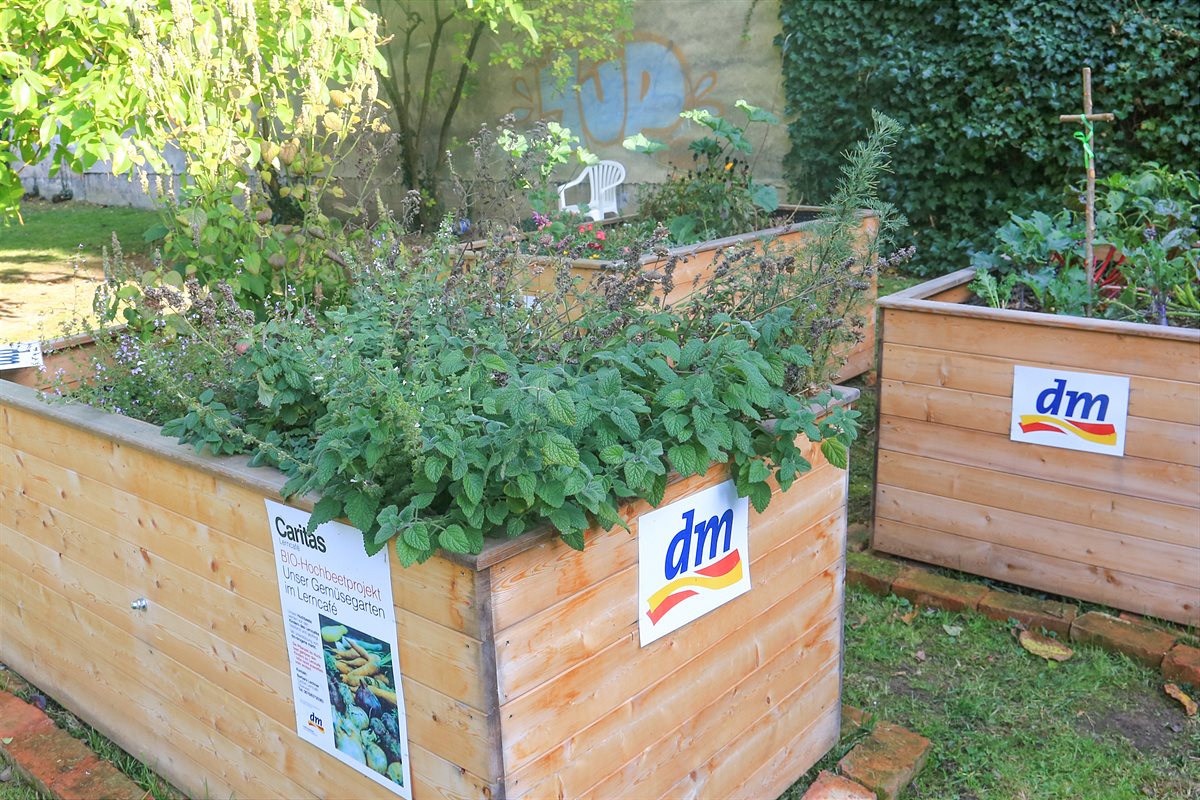 Hochbeete im Garten des Caritas Lerncafés Oberwart