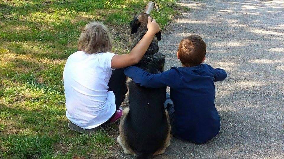 Hof Schwechatbach - Ein Bauernhof für tiergestützte Interventionen