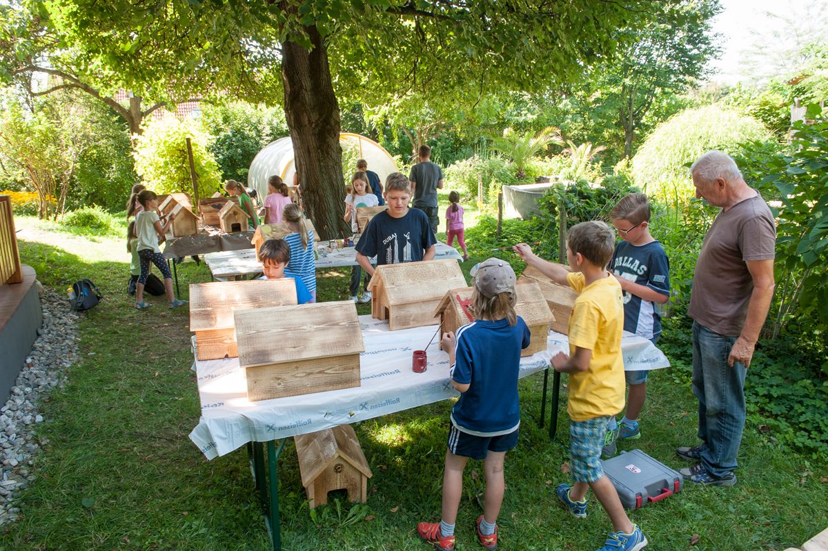 Naturworkshops für Kinder und Jugendliche