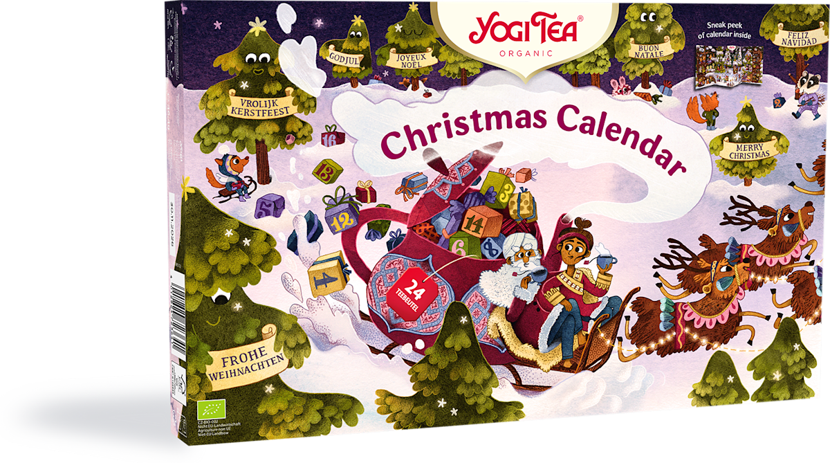 dm Freisteller 05 YOGI TEA Adventskalender groß