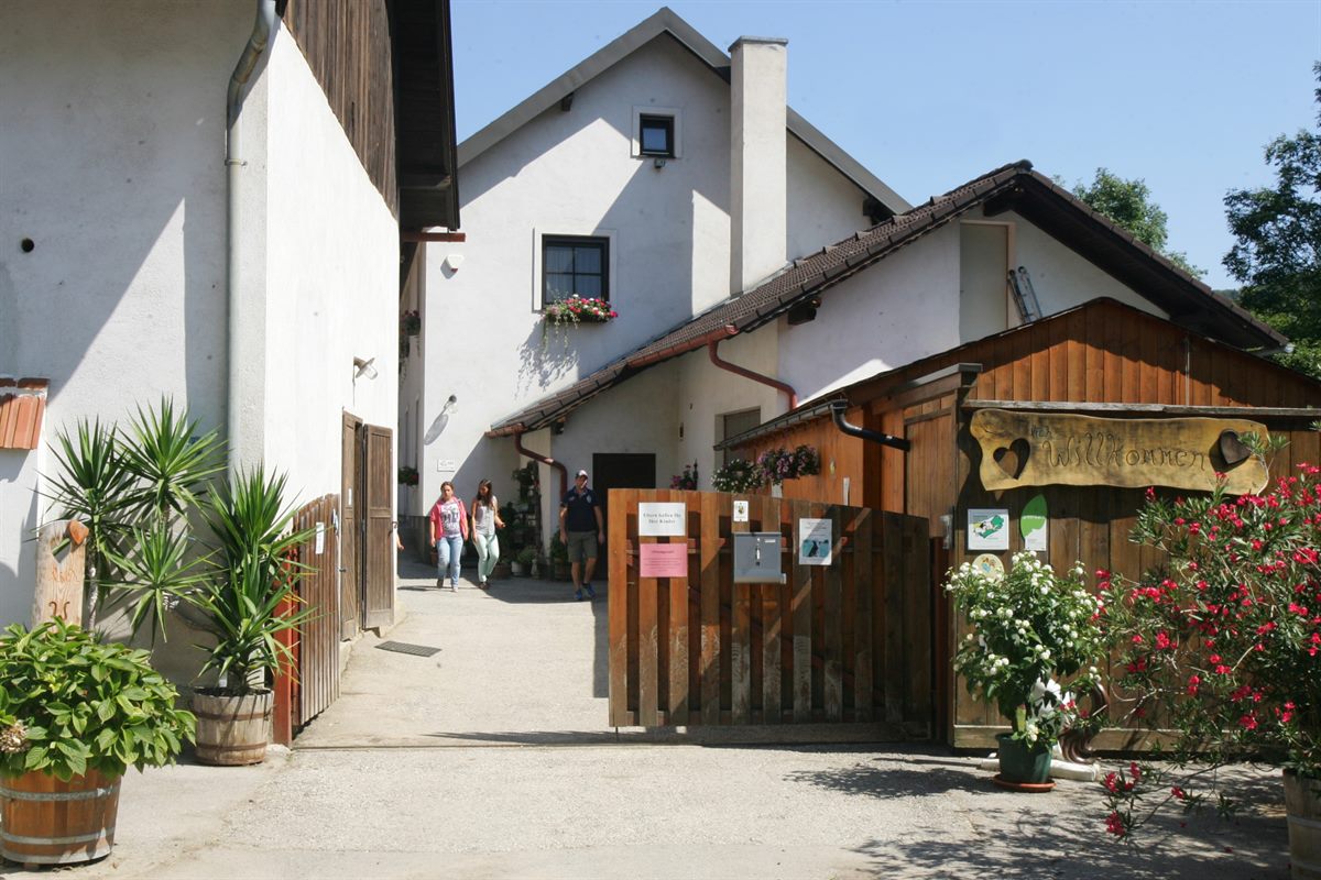 Der Hof Schwechatbach in Alland öffnete am 27.8. seine Pforten für kleine und große Tierfreunde.